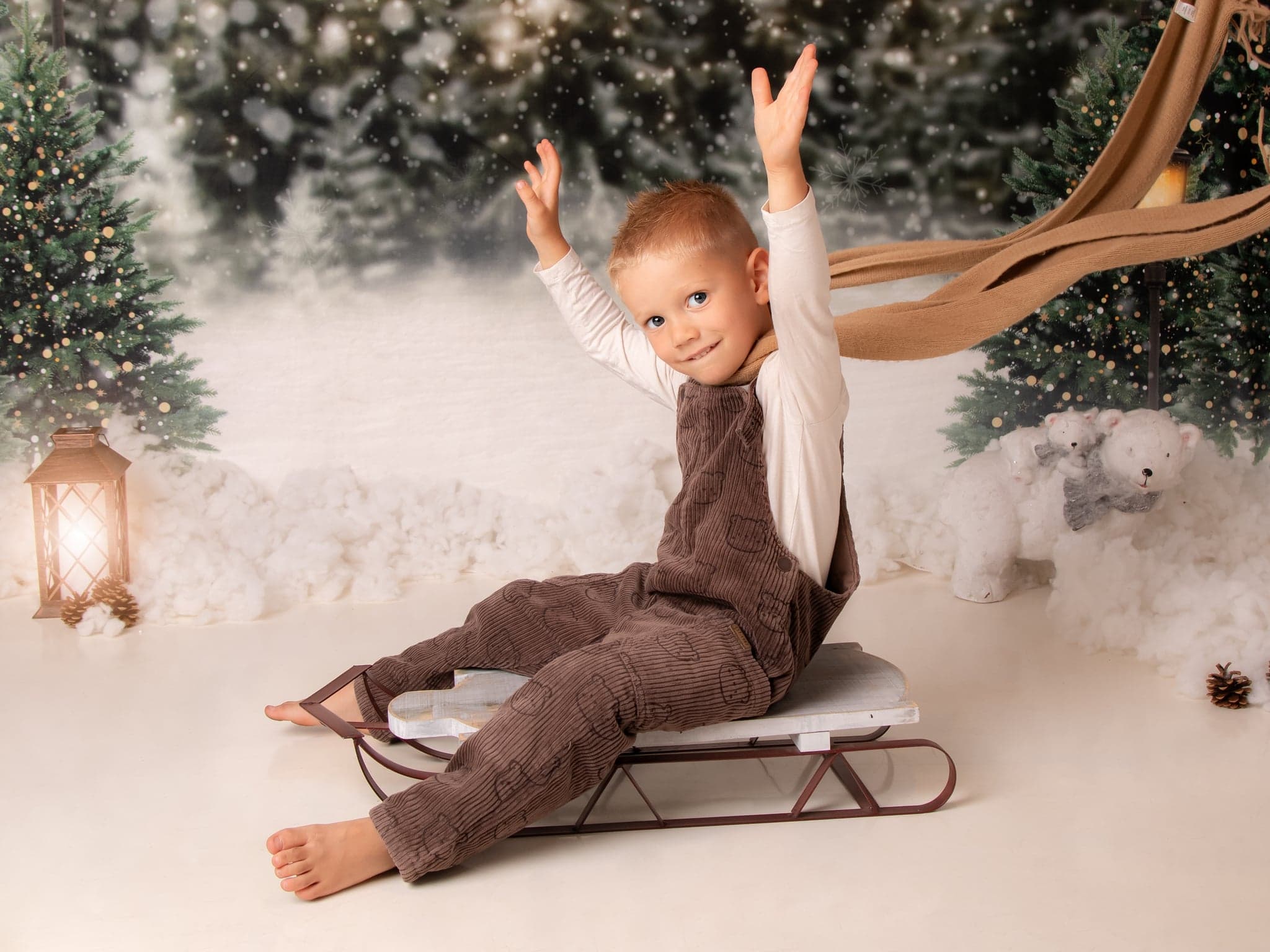 A boy sitting on a wooden sleigh beside snowy Christmas trees.